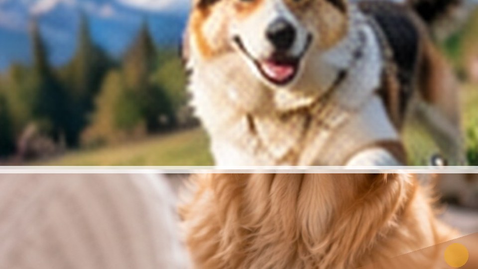 Dog editorial featured image 86